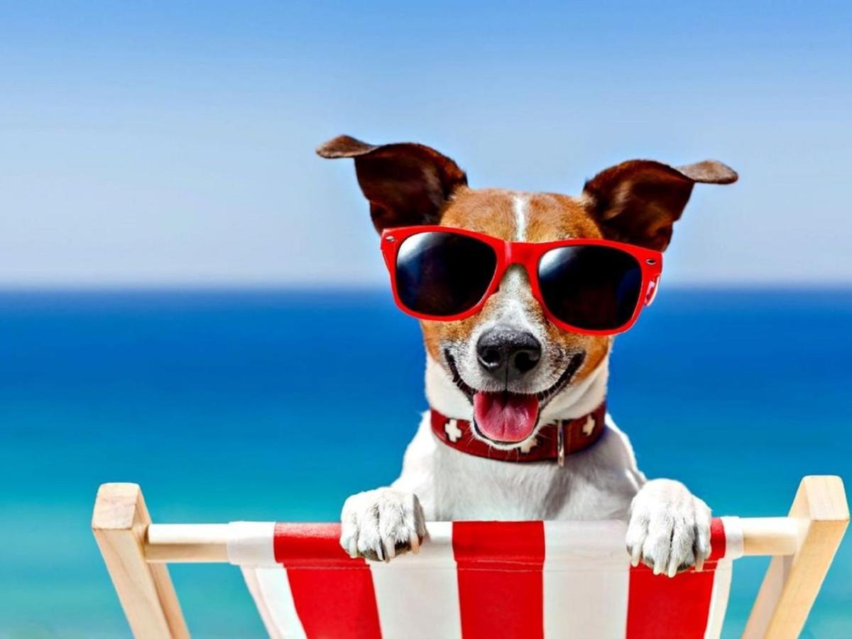 Fabulous 2 Bedroom Dog Friendly Chalet 5 Min Walk To Beach, Nr Gt Yarmouth & Norfolk Broads Scratby Luaran gambar